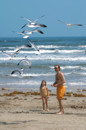 Father and Daughter Feeding Seagulls at Padre Island Texas USA