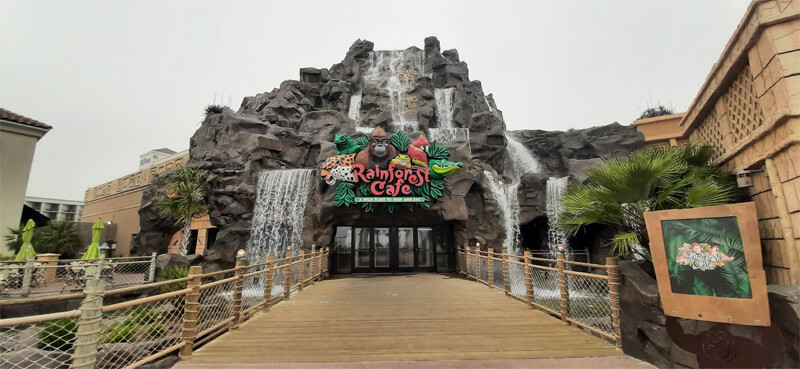 rainforest cafe