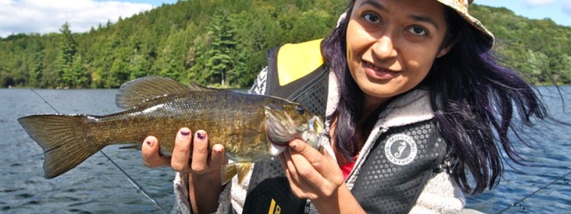 Smallmouth Bass
