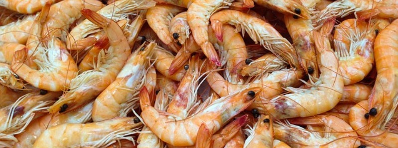 Texas Seafood Markets & Shrimp Shacks