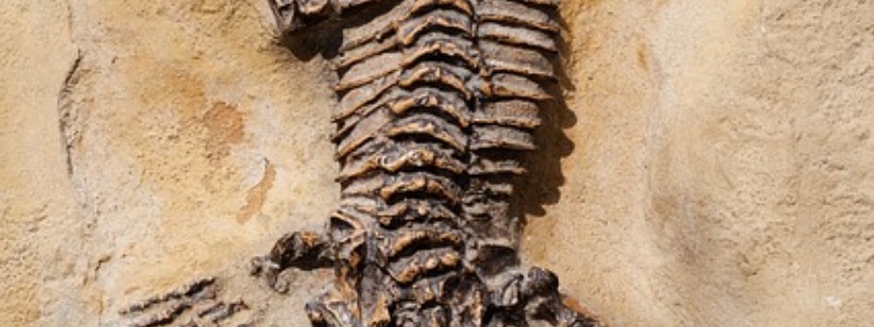 Archaeological Excavation Sites In Texas