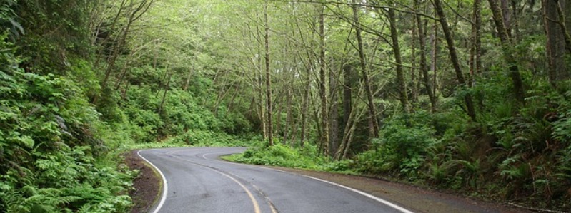 Driving Tours of Texas