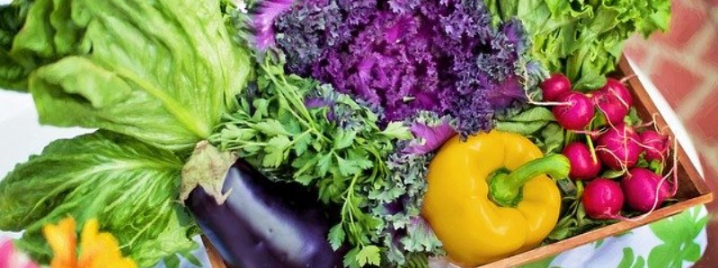 Central Texas Vegetables