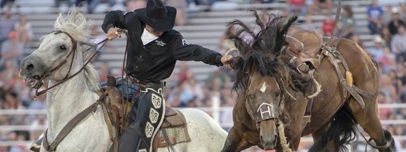 Texas Rodeos