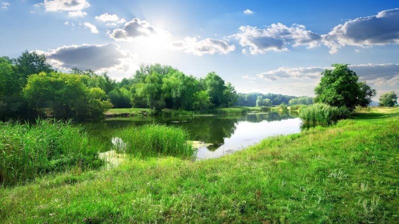 How Much Does Land Cost in Texas