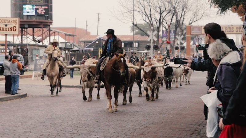 fort-worth tourist attractions