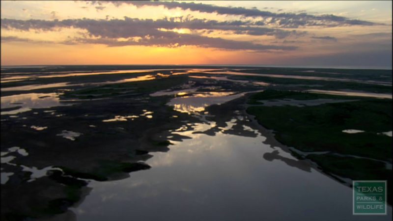 Gulf Coast Texas Attractions