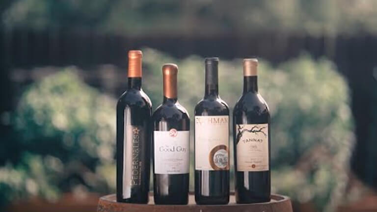 Texas Wine Trails