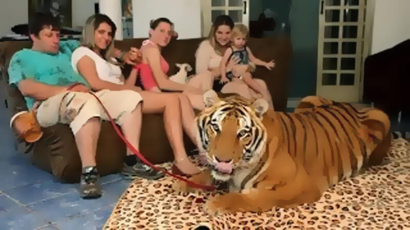 Pets Wild Animals
