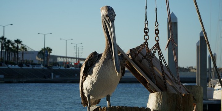 Corpus Christi Bayfront