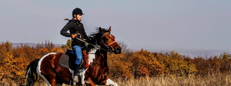 Bandera Horseback Riding