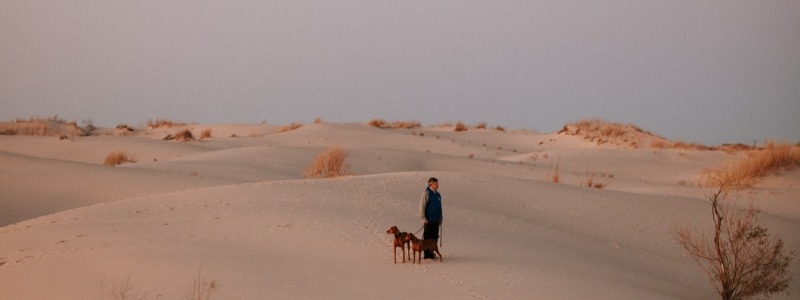 Monahans Sandhills State Park