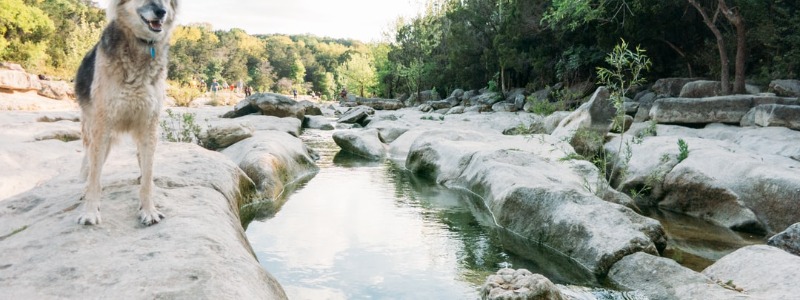 THINGS TO DO IN Bryan & College Station, TX