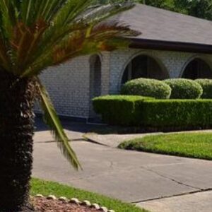 Driveway & Sidewalk Cost Guide