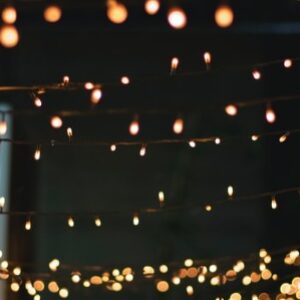 Outdoor Lighting for Yards and Gardens