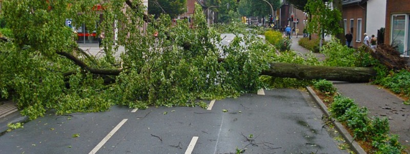 Hurricane Damage