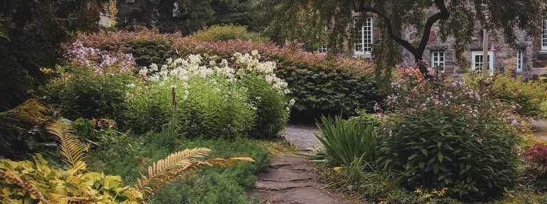 Landscaping Calendar Texas