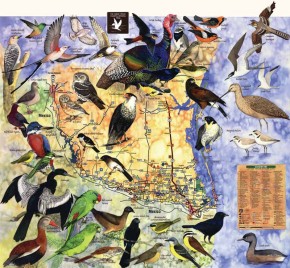South Texas Nature Map