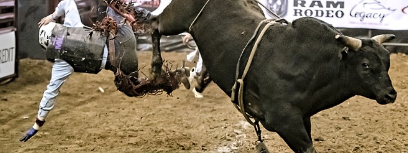 Fort Worth Stock Show Rodeo
