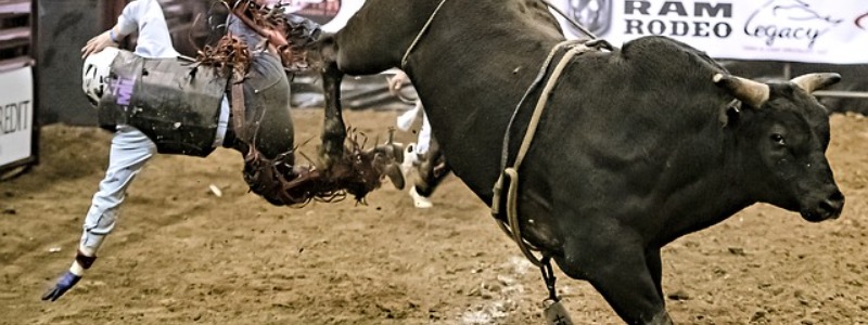 Texas rodeo bull riding