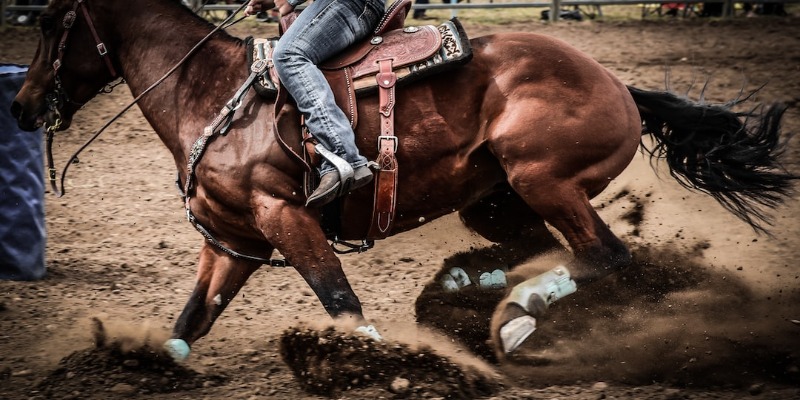 Houston Livestock Show and Rodeo