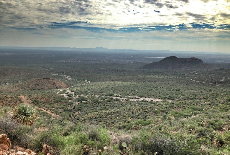 McKelligon Canyon