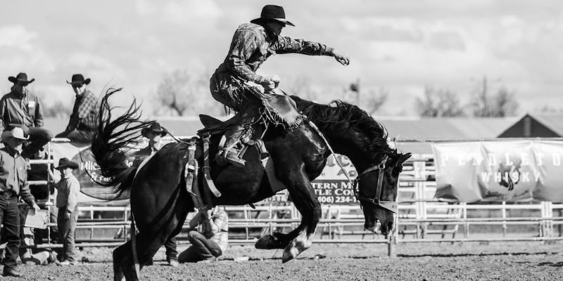 Texas Rodeos 