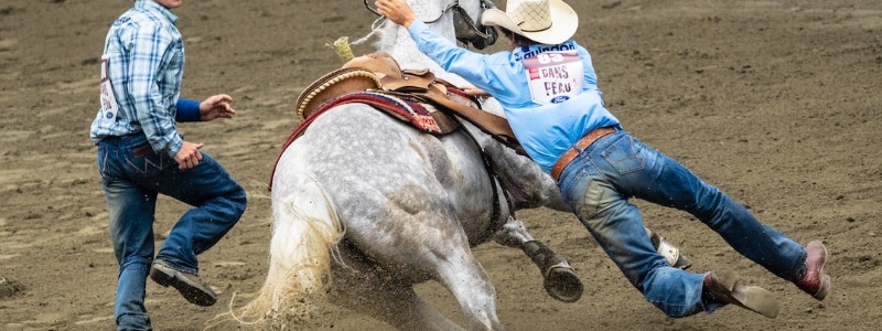 San Antonio Rodeo and Stock Show
