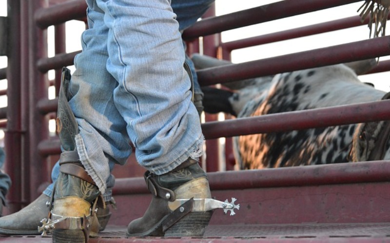 Stockyards Championship Rodeo