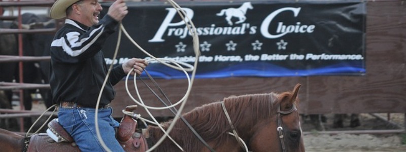 TX Rodeos