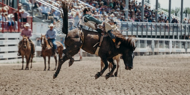 West of the Pecos Rodeo