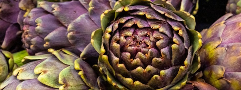 Can bunnies Eat Artichokes?