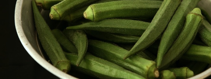 Can bunnies eat Okra?