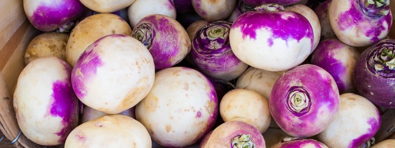 Can bunnies eat Turnips?
