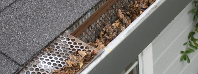 Gutter Cleaning Ladders