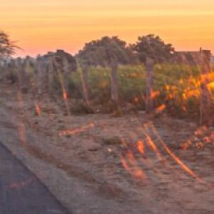 Historic Route 66 Road Trip – Route 66 Hotels & Motels