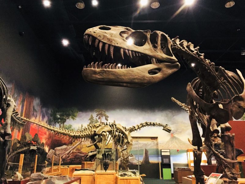 Perot Museum of Nature and Science