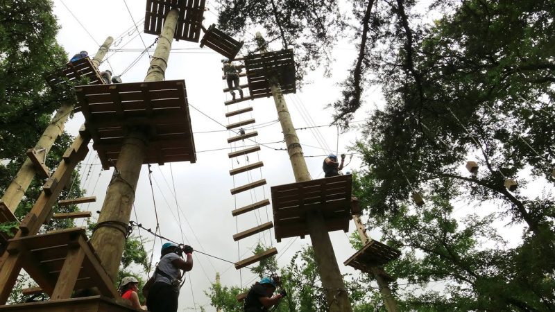 Trinity Forest Adventure Park! - YouTube