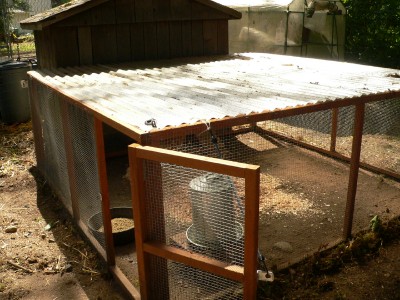 chicken tractor