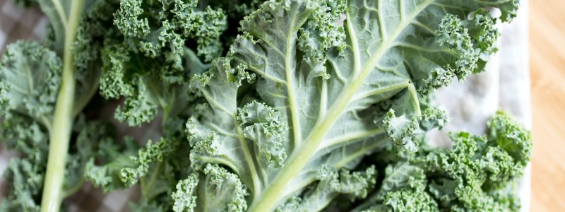 Chinese Broccoli