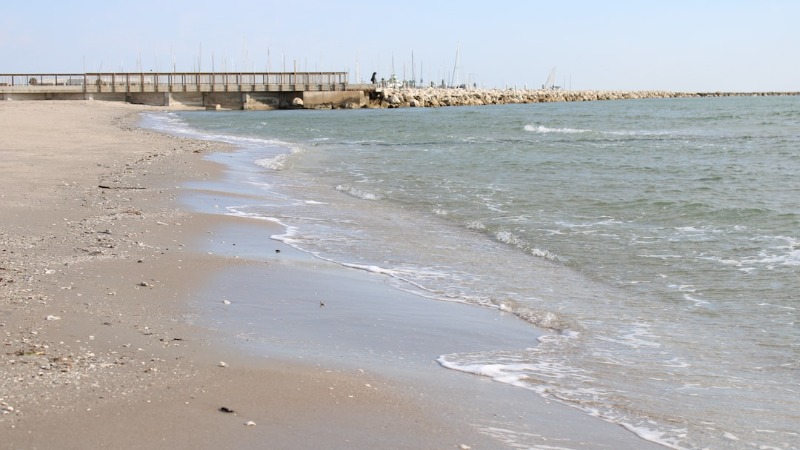 Reasons to Visit Corpus Christi Beach