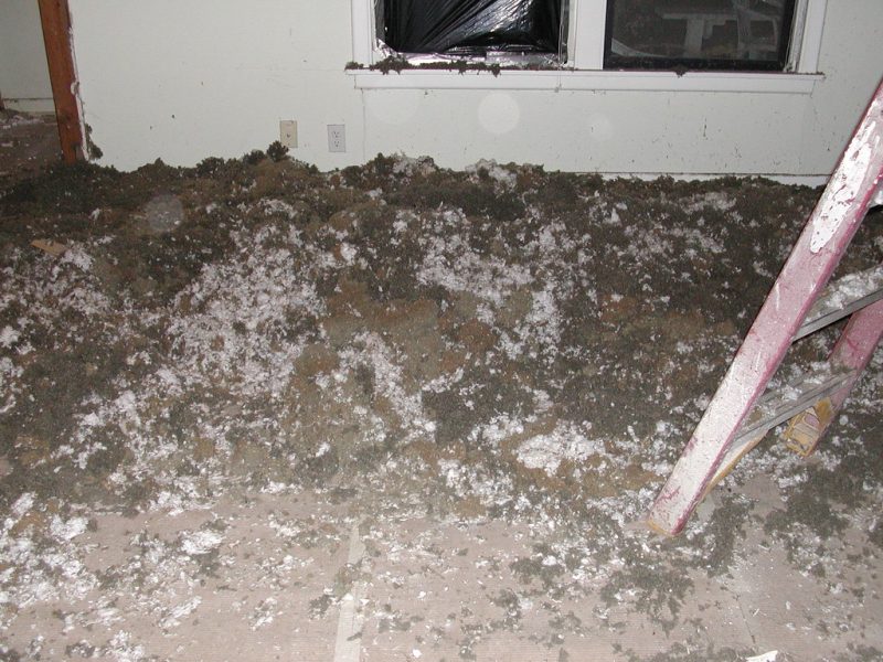 Attic Insulation