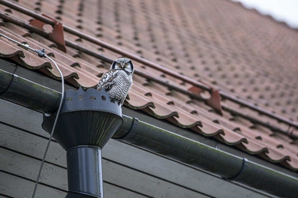 Gutters and Downspouts