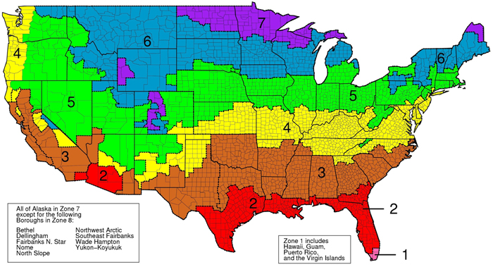 Recommended Home Insulation R–Values | ENERGY STAR