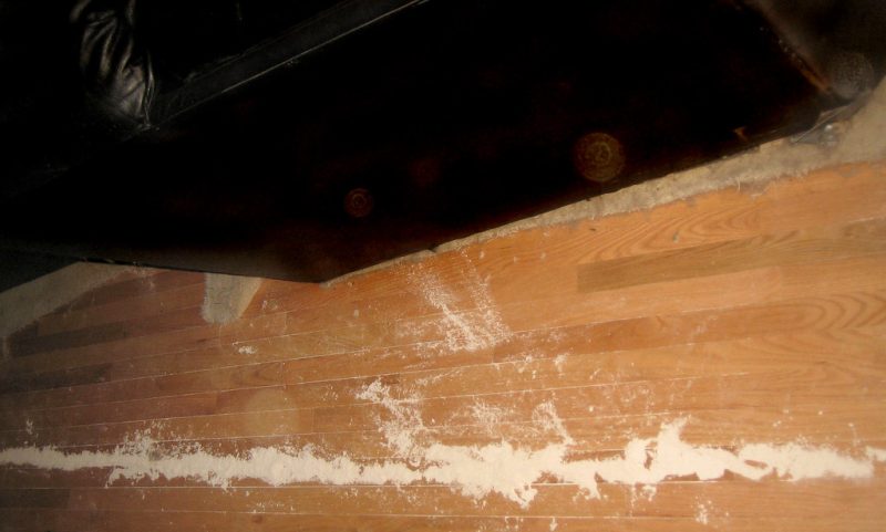 is diatomaceous earth pet safe