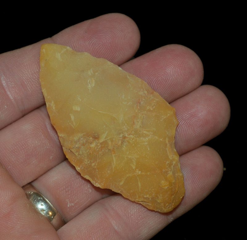 Leaf-Shaped Arrowhead