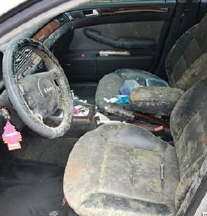 mold on car seat