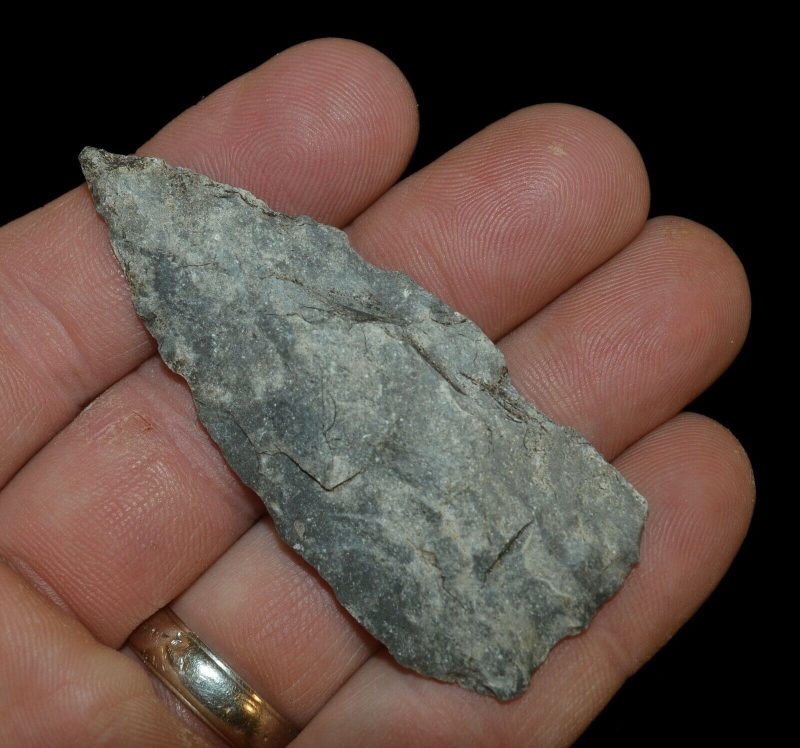Texas Lanceolate Arrowhead